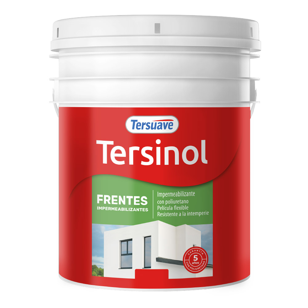 Frentes Tersinol Blanco Impermeab  10 KG