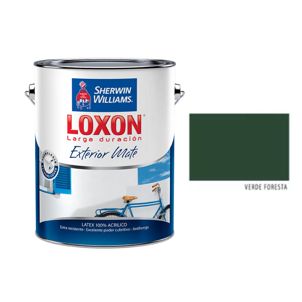 Loxon Exterior Verde Foresta  4 L