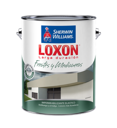[12463] Loxon Frentes y Medianeras Colores 4 L
